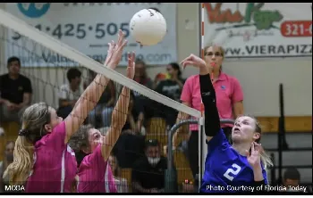 VB006.webp
